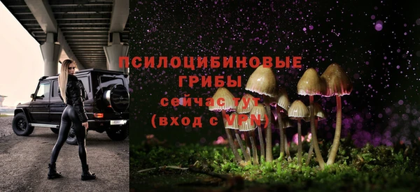 PSILOCYBIN Володарск